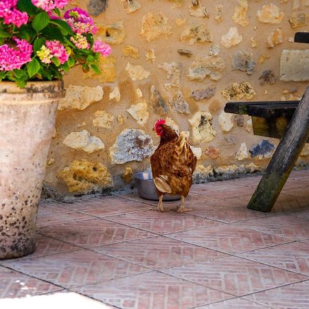 Le Nid De Faucons Villa Lalinde Kültér fotó