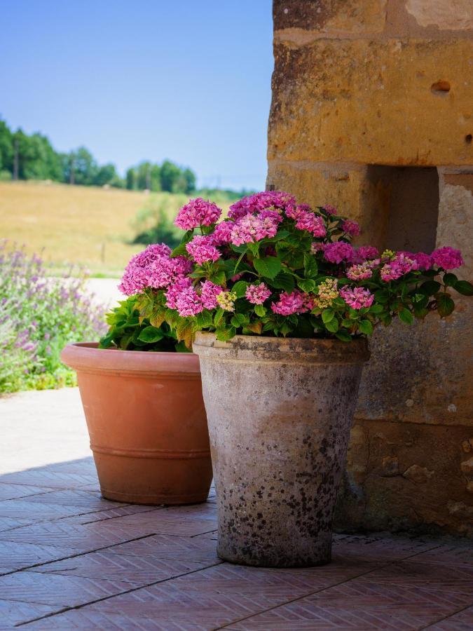 Le Nid De Faucons Villa Lalinde Kültér fotó