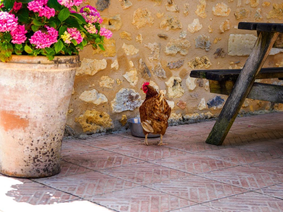 Le Nid De Faucons Villa Lalinde Kültér fotó